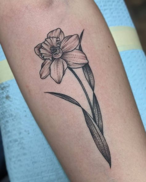 Penny/Lane🔥 on Instagram: “smallish black and grey daffodil 🖤🤍 (done with only a tight 5rl)” Black Daffodil Tattoo, Black And Grey Daffodil Tattoo, Daffodil Tattoo Shaded, Daffodil With Bee Tattoo, Narcissus Flower Tattoo Black And White, Tattoo Black And Grey, Daffodil Tattoo, Tattoo Black, Penny Lane