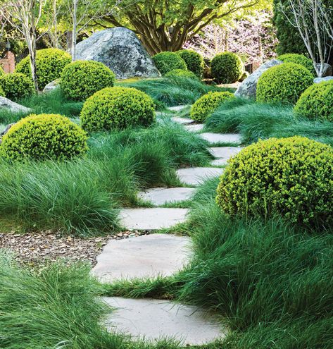 Boulder Garden, Mulch Landscaping, Boxwood Balls, American Garden, Boxwood Topiary, Garden Photography, Garden Path, Garden Landscape Design, Rose Cottage