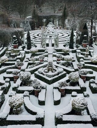 Hedge Trees, Box Hedging, Garden Winter, Evergreen Hedge, Book Vibes, Winter Gardens, Temple Gardens, Topiary Garden, English Gardens