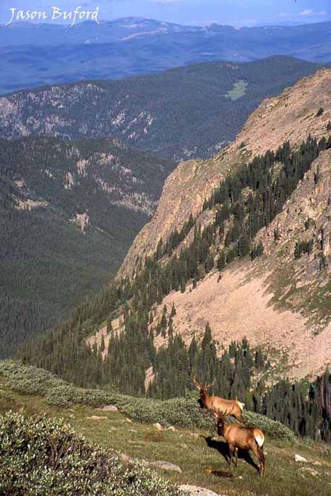 Rocky Mountain National Park, Estes Park, Colorado Estes Park Colorado, Colorado Vacation, Mountain High, Colorado Usa, Colorado Travel, Estes Park, Colorado Mountains, Rocky Mountain National, Rocky Mountain National Park