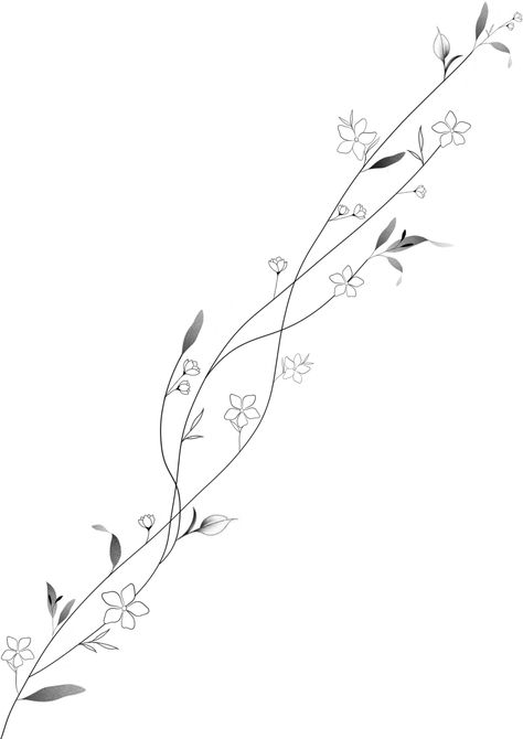 Vine Tattoo Template, Flower Branch Tattoo, Vines Drawing, Flower Vine Tattoos, Tiny Flower Tattoos, Cuff Tattoo, Flower Tattoo Ideas, Tiny Wrist Tattoos, Belly Tattoos