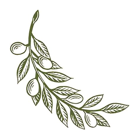 olive branch tattoo Traditional Tattoo Outline, Olive Tattoo, Traditional Tattoo Stencils, Tree Branch Tattoo, Olive Branch Tattoo, Branch Drawing, Becoming A Tattoo Artist, Food Tattoos, Dove Tattoo