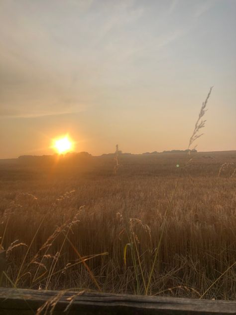 Hay Field Aesthetic, Hay Aesthetic, Astetic Photos, Aesthetic Countryside, Midwest Summer, Field Aesthetic, Hay Field, Country Nature, Aesthetic Dump