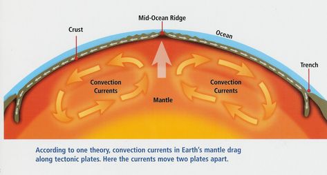 Continental Drift Theory, Seafloor Spreading, Plate Tectonic Theory, Convection Currents, Ocean Trench, Plate Boundaries, Earth's Mantle, Continental Drift, Sea Floor