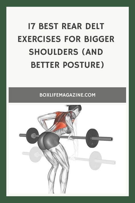 17 Best Rear Delt Exercises For Bigger Shoulders (And Better Posture) Posterior Deltoid Workout, Rear Deltoid Exercises For Women, Back Deltoid Workout, Rear Shoulder Workout, Shoulder Boulders, Rear Deltoid Exercises, Delt Exercises, Rear Delt Exercises, Bigger Shoulders