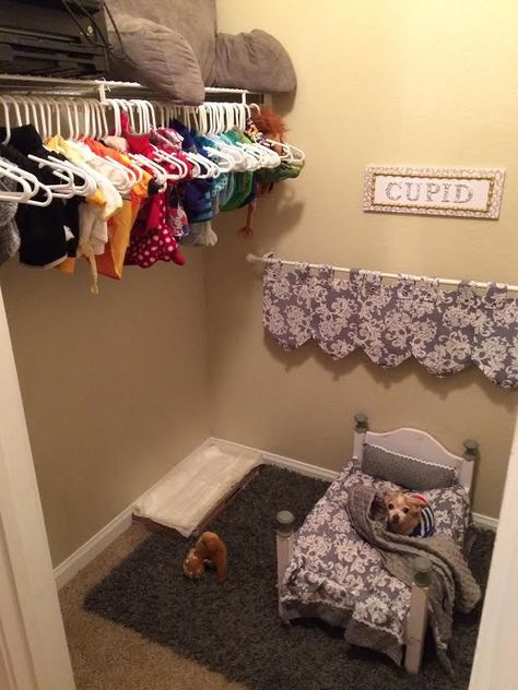 This Dog Mom Turned Her Spare Closet into a Bedroom for Her Pooch #DogMom Dog Bedroom, Katt Grejer, Puppy Room, Dog Spaces, Dog Room, Dog Area, Dog Rooms, Animal Room, Dog Furniture