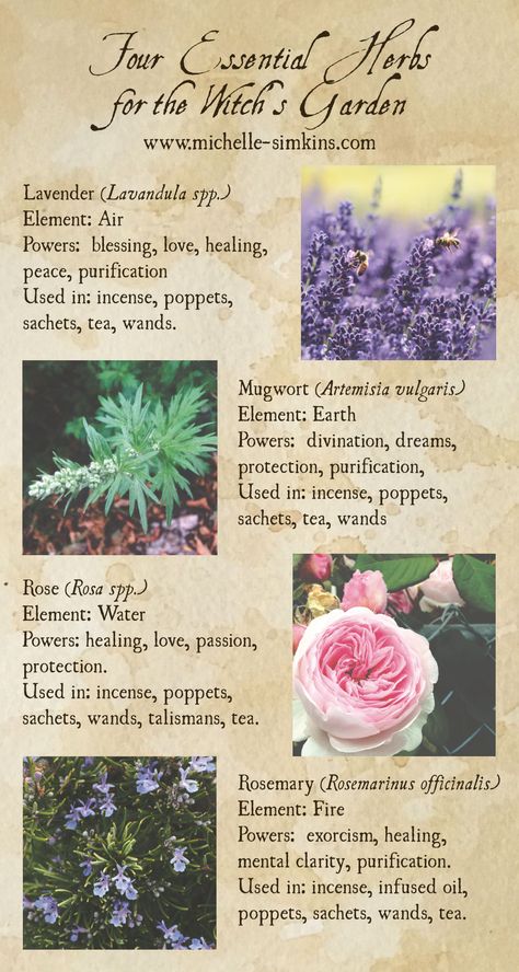 Herb Properties, Magickal Plants, Crystal Spells, Witch Watch, Magic Journal, Simple Magic, Witch's Garden, Witch Balls, Witchy Garden