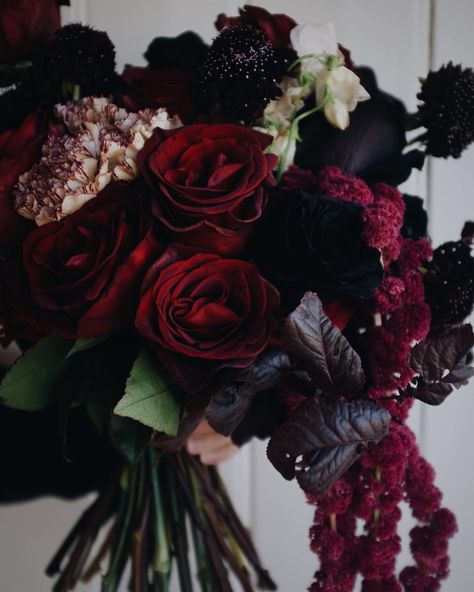 Moody Bridal Bouquet, Bouquets Ideas, Witch Wedding, Holly Wedding, Flower Wedding Bouquet, Dark Wedding, Dark And Moody, Moody Wedding, Sydney Wedding