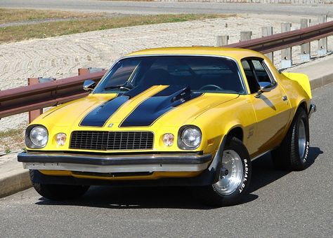 1976 Chevy Camero. There's my first car minus the fin and strip. Mine was all yellow with a black top!! Chevrolet Camaro Yellow, 1976 Camaro, Chevrolet Camaro Black, Camaro Black, Vintage Camaro, Chevrolet Camaro 1970, Muscle Cars Camaro, Chevy Muscle Cars, Pony Car