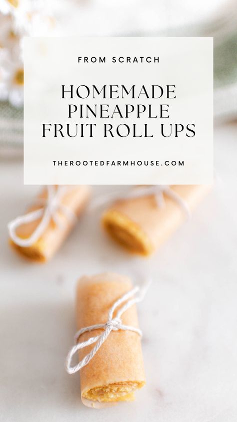 Step up your snack game with our homemade fruit roll-up recipe! Ideal for dehydrators or ovens, this guide helps you turn juice pulp or any fruit into tasty treats. Fruit Leather Recipe Oven, Strawberry Roll Ups, Fruit Rollups, Homemade Fruit Leather, Fruit Leather Recipe, Roll Ups Recipes, Fruit Roll, Fruit Leather, Fruit Roll Ups