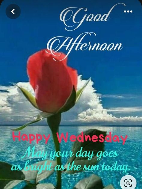 Wednesday Afternoon Greetings, Good Afternoon Happy Wednesday, Wednesday Afternoon Blessings, Good Afternoon Wednesday, Happy Wednesday Afternoon, Afternoon Greetings, Good Afternoon Quotes, Good Wednesday, Blessed Wednesday