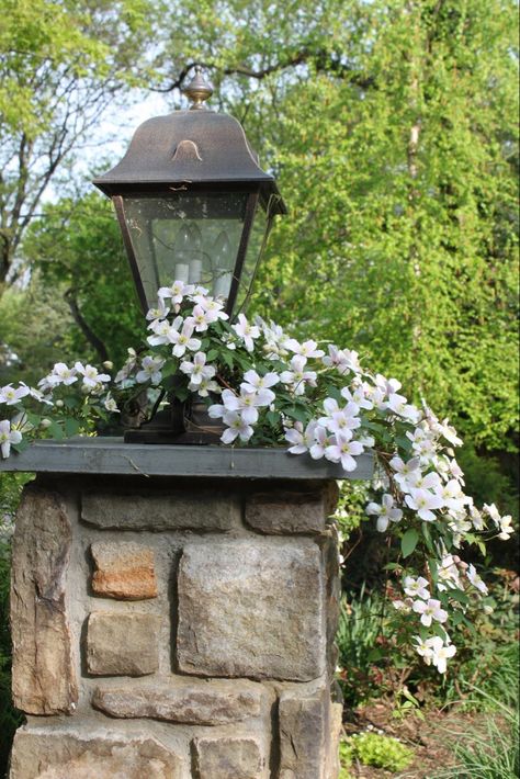 Stone Entrance, Decorating Garden, House Lighting Outdoor, Driveway Entrance Landscaping, Garden Plot, Outdoor Lighting Ideas, Best Outdoor Lighting, Garden Interior, Driveway Lighting