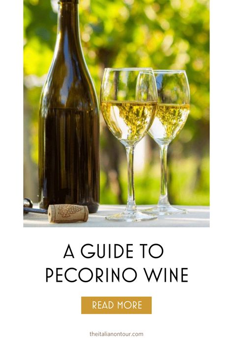 Discover Italy's Treasured Gem! Immerse yourself in the flavors of the Le Marche region of Italy with our blog's complete guide to Pecorino wine. Unveil the secrets of this world-renowned vintage adored by sommeliers. Don't miss the chance to savor this delicious wine during your Italian getaway. Cheers to an unforgettable experience! Grapevine Growing, Grape Uses, Small Appetizers, Aged Cheese, Fried Calamari, Gourmet Pizza, Keep Calm And Drink, Good Excuses, Italy Tours