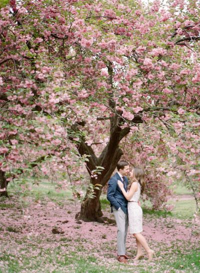 Cherry blossoms in the spring: http://www.stylemepretty.com/2015/06/11/romantic-cherry-blossom-filled-engagement-session/ | Photography: Rebecca Yale -http://www.rebeccayalephotography.com/ Orchard Photoshoot, Cherry Blossom Photoshoot, Blossom Photoshoot, Photo Journalism, Sweet Couples, Portraits Inspiration, Garden Engagement, Spring Engagement Photos, Spring Photoshoot