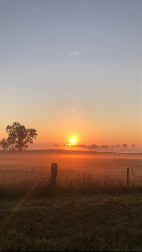 Sunrise sun beautiful early morning aesthetic nature meadow foggy Sunset Meadow Aesthetic, Vision Board Sunrise, Early Sunrise Aesthetic, Sierra Core Aesthetic, Beautiful Sunrise Mornings, Sundown Aesthetic, Aesthetic Meadow, Morning Aesthetic Sunrise, Midwest Sunset