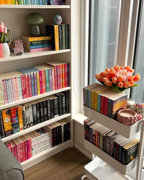 Shelf Decor Ideas Bedroom, Bookshelves Room, Book Corner Ideas Bedroom, Pink Bookshelves, Bookshelf Inspo, Bookshelf Room, Bookshelf Ideas, Bookshelf Inspiration, My Bookshelf