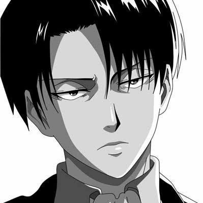 Attack On Titan Aesthetic, Anime Villians, My Boo, Black And White Aesthetic, Levi Ackerman, White Aesthetic, Attack On Titan, Anime Icons, White And Black