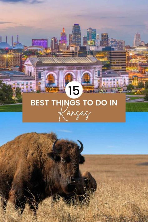 15 Best Things to Do in Kansas Kansas State Parks, Things To Do In Topeka Kansas, Kansas Vacation Ideas, Kansas City Kansas Things To Do, Topeka Kansas Things To Do In, Things To Do In Kansas City, Tallgrass Prairie National Preserve, Things To Do In Kansas, Kansas Travel