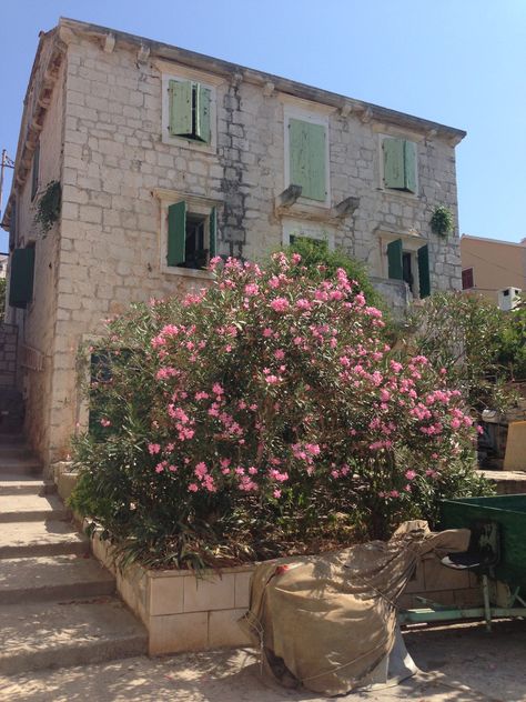 Old house in Sumartin,. a small fishermen town in Croatia. Croatian Stone House, Croatia House, Croatian House, European Houses, Homes In France, Dalmatia Croatia, Island Town, The Turk, European House