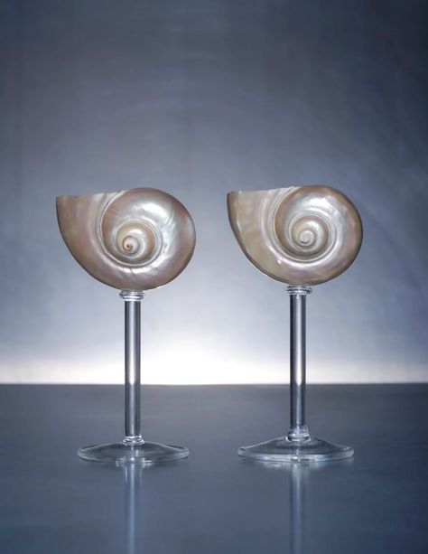 Out & About, Sit Down & Scroll Shell Wine Glasses, Unusual Wine Glasses, Tim Key, 2022 Journal, Wine Glass Cup, Art Scrapbook, Funky Glasses, Object Photography, Life Aquatic