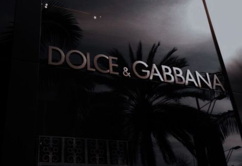 Dolce & Gabbana Logo, A Royal Affair, Designer Aesthetic, Book Aesthetics, Classy Aesthetic, Rich Life, Material Girl, Dolce E Gabbana, I Cool