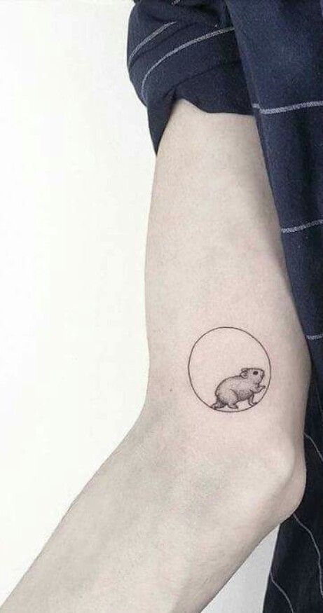 animal, hamster, and minimalistic image Hamster Tattoo Ideas, Hamster Tattoo Minimalist, Hamster Tattoo, Rat Tattoo, Pig Tattoo, Mouse Tattoos, Paw Tattoo, Small Tattoos Simple, Creation Art