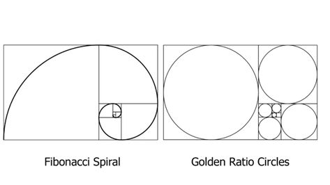 Golden Ratio Layout, Phi Golden Ratio, Proportion Art, Golden Ration, Golden Ratio In Design, Golden Ratio Logo, Golden Proportion, Spirals In Nature, Golden Section