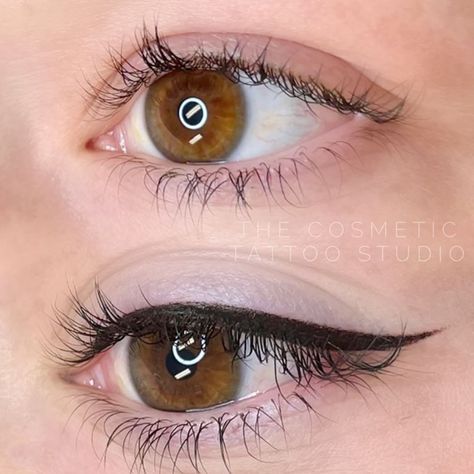 ⚜️ Crispy winged eyeliner tattoo @thecosmetictattoostudio ⚜️ #premierbeauty #premier #beauty #germany #perma #blend #permablend #permanentmakeup #pmu #micropigmentation #microblading #permanentcosmetics #permanentmakeupartist #pmuartist #lipblush #pmulips #lips #kiss #pmugermany Permanent Eyeliner Before And After, Winged Eyeliner Tattoo, Phibrows Logo, Phibrows Logo Design, Pmu Eyeliner, Tattoo Eyeliner, Permanent Makeup Eyeliner, Permanente Make-up, Makeup Eyebrows