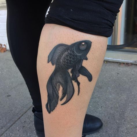 Black Goldfish Tattoo, Gold Fish Tattoo Design, Traditional Goldfish Tattoo, Japanese Goldfish Tattoo Design, Goldfish Tattoo Black And White, Goldfish Species, Goldfish Watercolor, Black Goldfish, Goldfish Tattoo