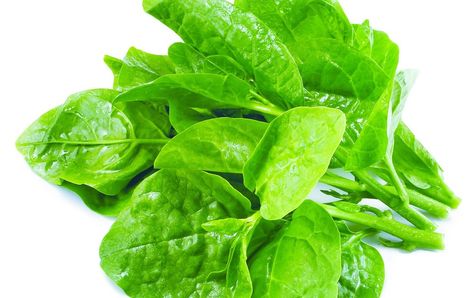 Boiled Spinach, Healthiest Food, Malabar Spinach, Cooking Spinach, Raw Spinach, Asian Vegetables, Spinach Leaves, How To Grow Taller, Good Healthy Recipes