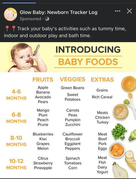 Solids For Baby 4 Months, Babyfood Puree Combos Stage 1, How To Introduce Purees To Baby, Starting Purees At 4 Months, 5 Month Old Puree Recipes, 4 Month Puree, 3 Month Old Food, Purees For Babies Stage 1, 5 Month Puree Food