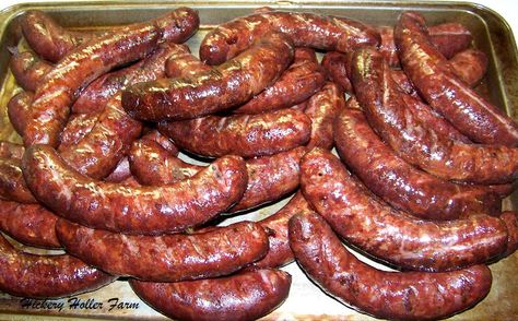 Hickery Holler Farm: Butchering and Curing Meat, love this website, the grow and raise all their food. Deer Sausage, Meat Preservation, Venison Sausage Recipes, Beef Sausage Recipes, Deer Processing, Curing Meat, Venison Sausage, Making Sausage, Meat Curing