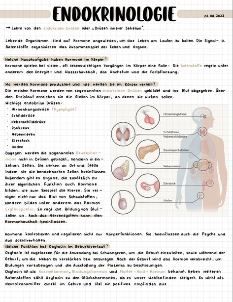 Goodnotes Typed Notes, Notes On Notability, Nursing Notes Aesthetic Ipad, Good Notes Examples, Ipad Notes Anatomy, Aesthetic Notes Good Notes, Ipad Notes Layout, Notes In Goodnotes, Notes Inspiration Ipad