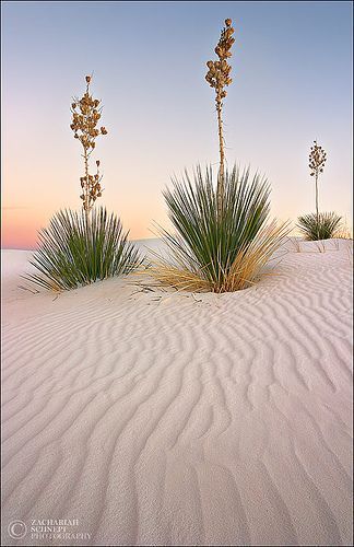 White Sands New Mexico, White Sands National Monument, Deserts Of The World, Land Of Enchantment, Airbrush Art, National Monuments, White Sand, Aruba, Barbados