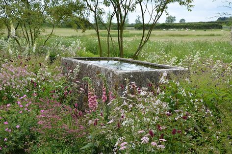 Stone Trough, Beautiful Gardens Landscape, Garden Pond Design, Garden Water Feature, Eco Friendly Garden, Natural Swimming Pool, Pond Design, Water Features In The Garden, Garden Fountain