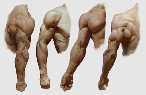 ArtStation - Study of arms Zbrush Anatomy, Arm Anatomy, Man Anatomy, Anatomy Sculpture, Anatomy Tutorial, Human Anatomy Drawing, Dark Souls Art, Human Anatomy And Physiology, Human Anatomy Art