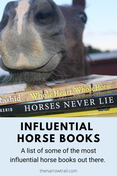 American Saddlebred Horses, Fictional Books, 100 Books, Horse Therapy, American Saddlebred, Horse Inspiration, Horse Books, 100 Books To Read, Horse Trainer