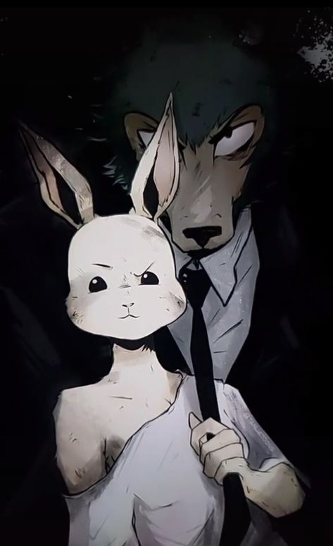 Beastars Haru, Beastars Fanart, Make Your, Wallpapers, Anime