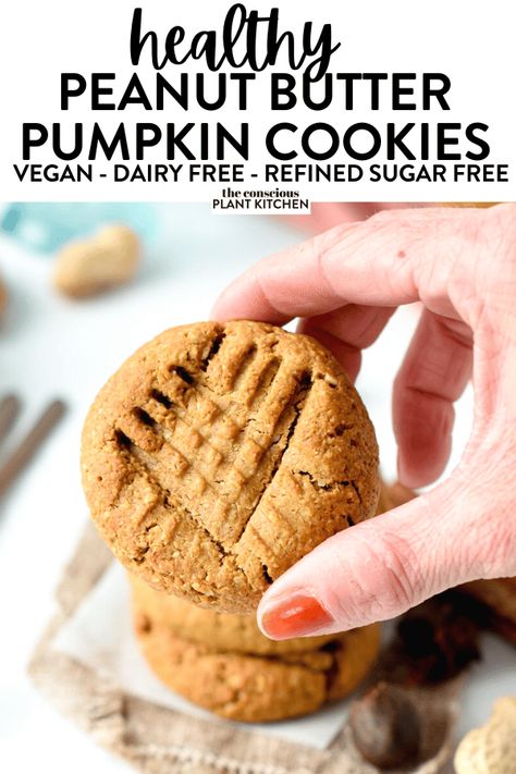 Peanut Butter Pumpkin Cookies, Pumpkin Peanut Butter Cookies, Pb Desserts, Real Pumpkin Puree, Healthy Pumpkin Cookies, Morning Snacks, Stewed Apples, Pumpkin Cookies Healthy, Vegan Pumpkin Cookies