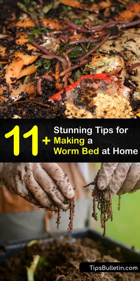 In Bed Vermicomposting, How To Start A Worm Bed, How To Start A Worm Farm, Vermiculture Worm Farm Diy, Worm Farm Diy How To Make A, Worm Beds, Germinate Seeds, Start Composting, Worm Castings Tea