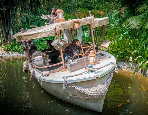 FIRST LOOK: Jungle Cruise Changes at Disneyland and Disney World Jungle Cruise Bedroom, Jungle Cruise Boat Diy, Jungle Cruise Boat, Stranded Island, Jungle Cruise Ride, Disney Jungle Cruise, Jungle Park, Jungle Vbs, Vbs Jungle