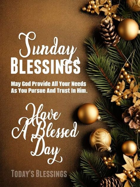 Happy Sunday Messages, December Wishes, Good Morning Happy Weekend, Weekly Blessings, A Blessed Sunday, Christmas Sunday, Happy Sunday Images, Sunday Messages, Good Morning Christmas