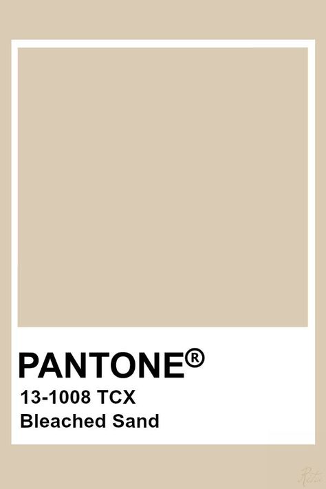 Sand Coloured Walls, Sand Colour Palette, Pantone Cafe, Sand Pantone, Sand Color Palette, Cream Pantone, Beige Pantone, Pantone Paint, Pantone Tcx