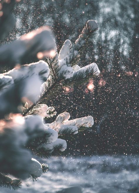 Snowfall uploaded by Trikki on We Heart It Winter Mood, Under The Mistletoe, A R, We Heart It