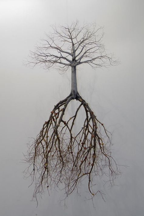 Roots. This is why it's so hard to dig out a tree - stump then?!¬ I thought it was just Me being pathetic! Boom Kunst, Saatchi Gallery, Tree Roots, Tree Sculpture, Tree Tattoo, Plant Roots, Land Art, Beautiful Tree, Tree Art