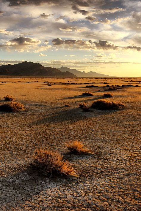 Desert Aethestic, Open Desert Landscape, Dessert Landscape Photography, Desert Images, Desert Landscape Photography, Desert Plains, Tropical Desert, Cold Desert, Desert Photos