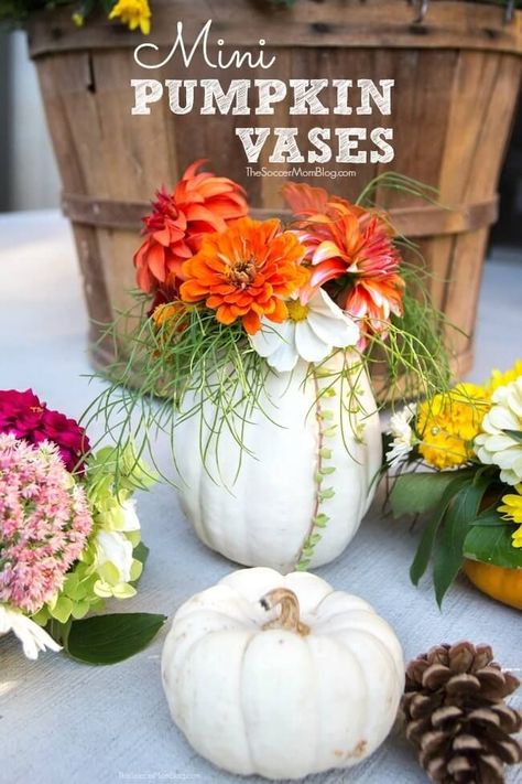 How to make DIY mini pumpkin vases! These gorgeous mini pumpkin vases are the perfect way to display fresh flowers for fall or a unique Thanksgiving centerpiece! Try making these pumpkin vases today for beautiful home decor! They are amazing for Fall! #fall #thanksgiving #diy #crafts #pumpkin #homedecor Diy Thanksgiving Centerpieces, Mason Jar Pumpkin, Flowers For Fall, Pumpkin Floral Arrangements, Floral Arrangement Ideas, Fall Mason Jars, Pumpkin Vase, Cherry Brandy, Fun Fall Crafts