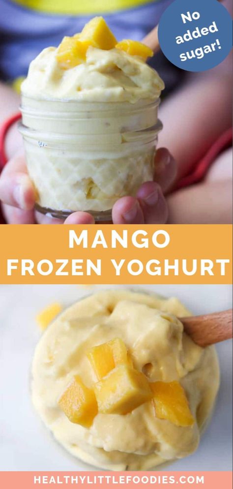 This Mango Frozen Yogurt is the perfect healthy dessert for summer. Made with only 3 ingredients (mango, banana and yoghurt) it literally takes minutes to make. The frozen banana adds a delicious ice-cream like texture and provides good sweetness meaning there is no need for added sugar. Perfect for babies, kids and adults.#frozenyogurt #healthyfrozenyogurt #mango #frozenbanana Frozen Fruit Snacks, Banana Frozen Yogurt, Mango Frozen Yogurt, Healthy Frozen Yogurt, Homemade Fruit Snacks, Frozen Yogurt Recipes, Smoothie Recipes For Kids, Diy Baby Food, Yogurt Ice Cream