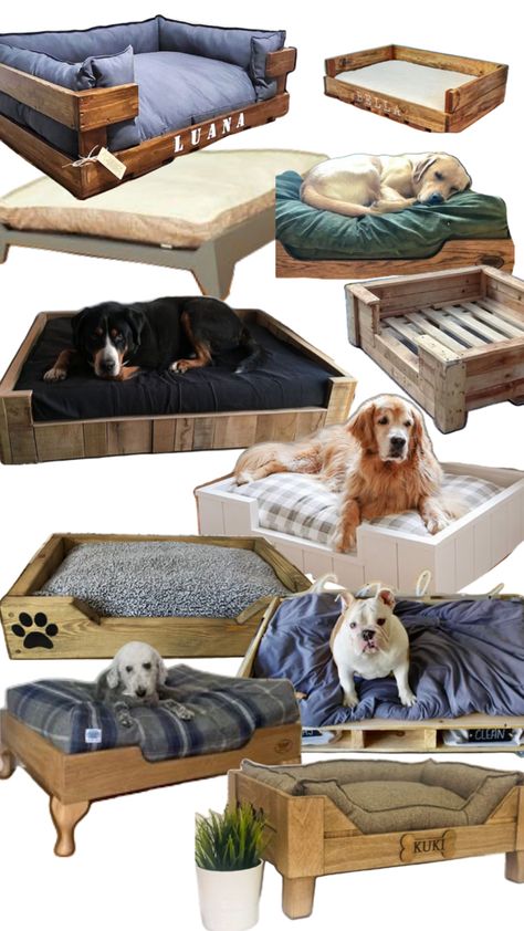 Diy Dog Couch Bed, Wooden Dog Bed Diy, Diy Dog Couch, Dog Bed Diy, Dog Couch Bed, Wooden Dog Bed, Diy Pet Bed, Schnauzer Puppies, Dog Couch