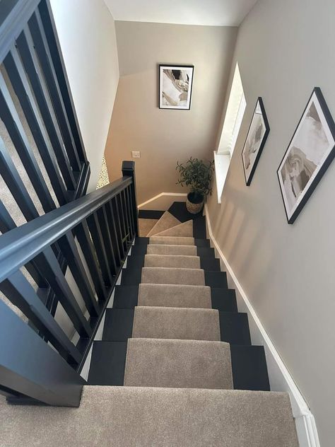 Stairwell Colour Ideas, Hallway Dark Bannister, Coloured Staircase Banisters, Cream And Black Hallway, Grey Bannister, Panelled Hallway Stairs, Stairs And Hallway Ideas Colour, Black Stairway, Hampton Bathrooms